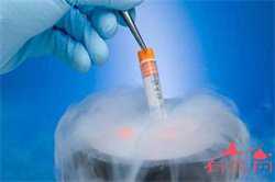 重庆的供卵试管机构，输卵管狭窄做供卵试管婴儿的费用是多少